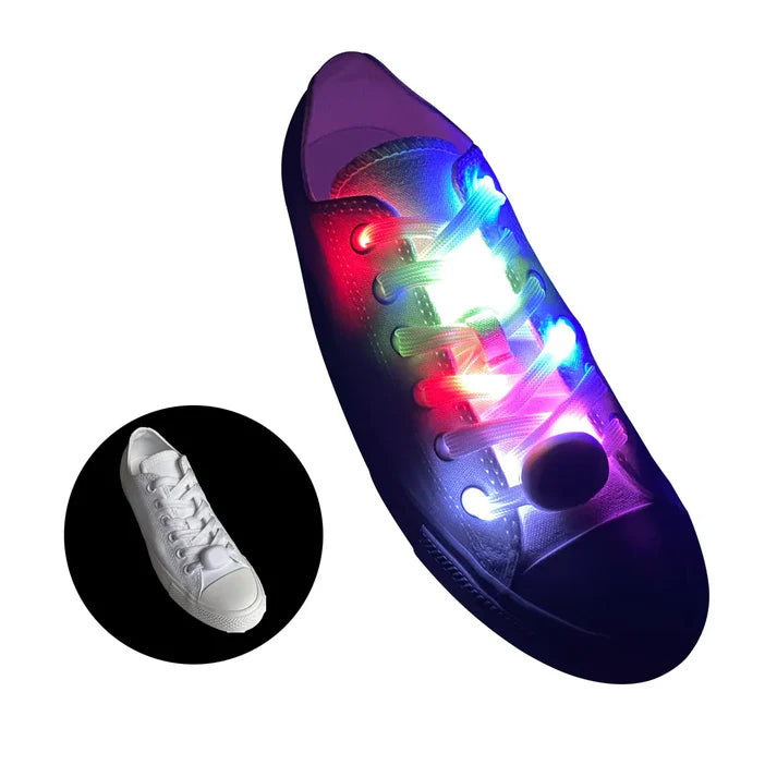 veters-led-bont-100-2