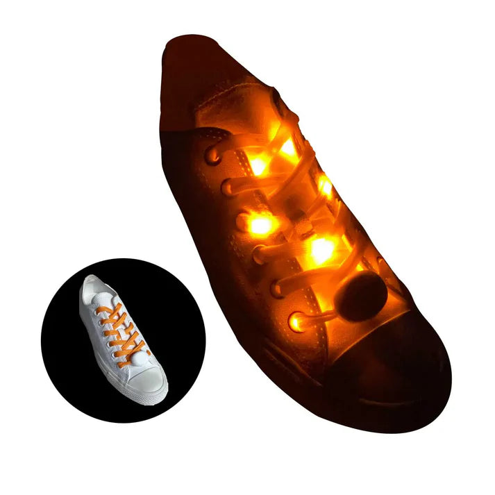 veters-led-oranje-3